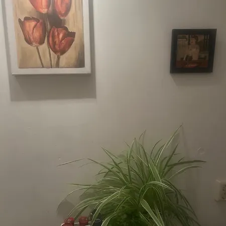 Kinderdijkstraat Διαμέρισμα *